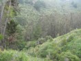 /album/quebrada-de-cordoba1/img-0928-jpg/