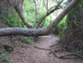 /album/quebrada-de-cordoba1/img-0964-jpg/