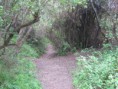/album/quebrada-de-cordoba1/img-0968-jpg/