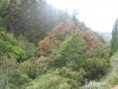 /album/quebrada-de-cordoba1/img-0986-jpg/