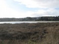 /album/laguna-el-peral1/img-5305-jpg/